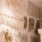 Auroom دوبروفينك